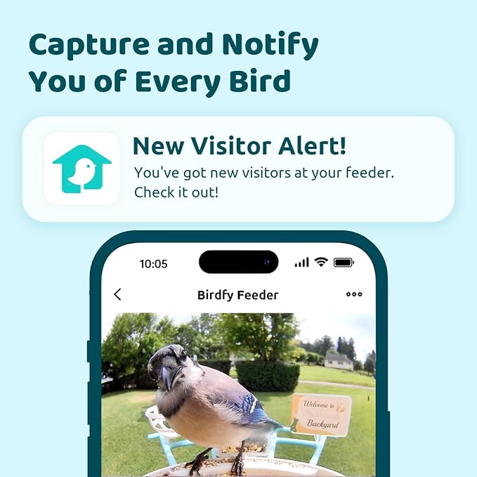 NETVUE by Birdfy Smart Bird Feeder with Camera, Bird Watching Camera, Auto Capture Video&Motion Detection, 1080P Live Steam, Cardinal Feeder Outdoor Wireless, Ideal Present for Backyard Birder, Yellow