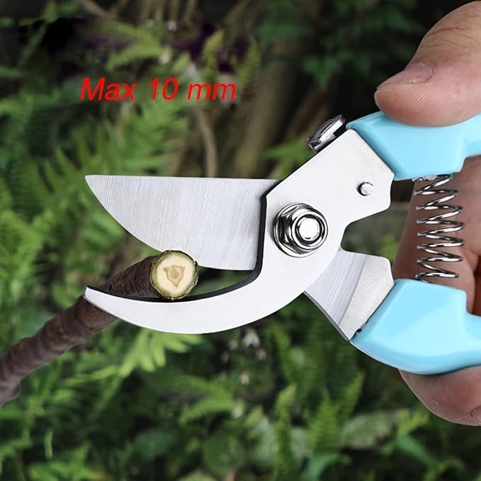 Curve Gardening Scissor with Sharp Stainless Steel Blade Garden Shears for Cutting Flowers Trimming Plants of Yard Florist Flower Rose Herb Hedge Bonsai and Fruits Picking (Green Handle)