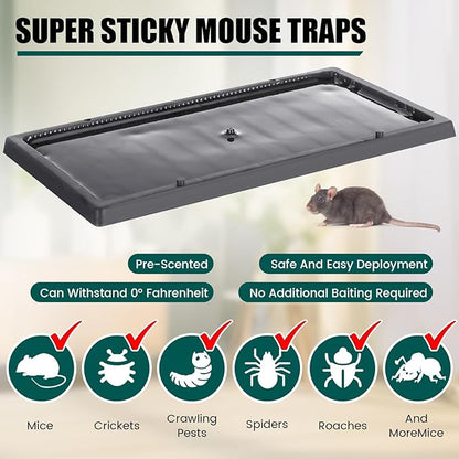 Qualirey 16 Pcs Cold Weather Glue Traps Freeze Resistant Sticky Mouse Traps Heavy Duty Safe Pest Control Adhesive Tray Pre Baited Easy to Use Glue Boards for Winter Mice Rat Spider Indoor Home Garage