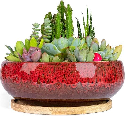 ARTKETTY Succulent Pots - 7.5 Inch Large Plant Pot with Bamboo Tray, Shallow Bonsai Pots with Drainage, Ceramic Planter for Indoor Plants, Cactus, Home Office Desk Decor