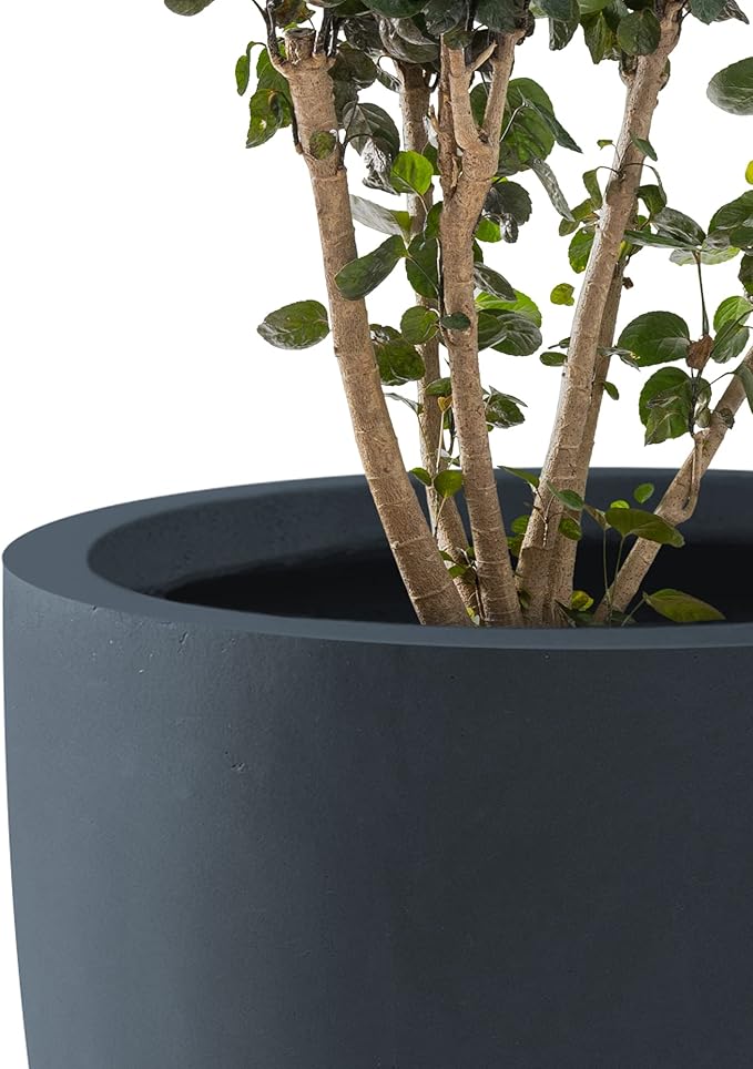 Kante 16.5" Dia Round Concrete Planter, Large Outdoor Modern Indoor Decorative Plant Pots with Drainage Hole and Rubber Plug for Home and Garden, Charcoal