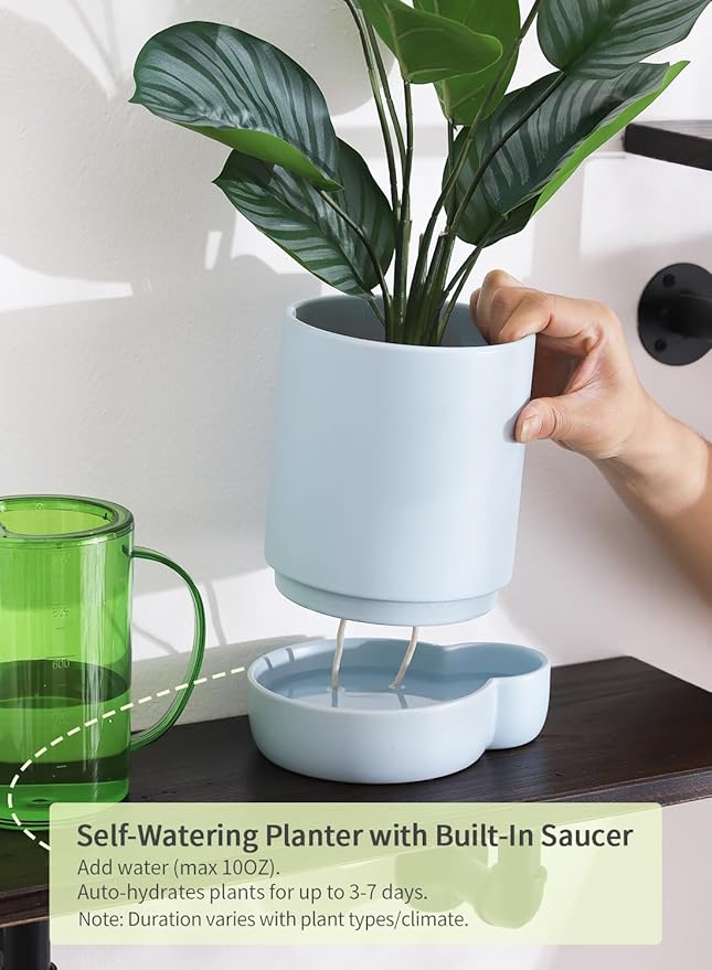 5.5 Inch Ceramic Self Watering Planters with Absorbent Cotton Rope, Cylinder Round Flower Pot for Succulent, Herbs, African Violets, Blue, 1 Pack