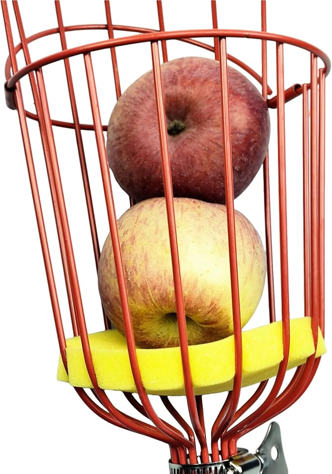 Stainless Steel Fruit Picker Basket Tool for Apple, Cherry, Berry, Orange, Blueberry, Mango, Avocado, Lemon, Peach Harvesting (12FT Full Set)