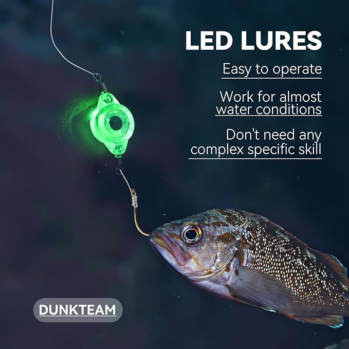 LED Underwater Fishing Lures，LED Lighted Bait Flasher，Deep Drop Fishing Lures，Fish Eye Attractive Light Bait Lure Lamp 5PCS
