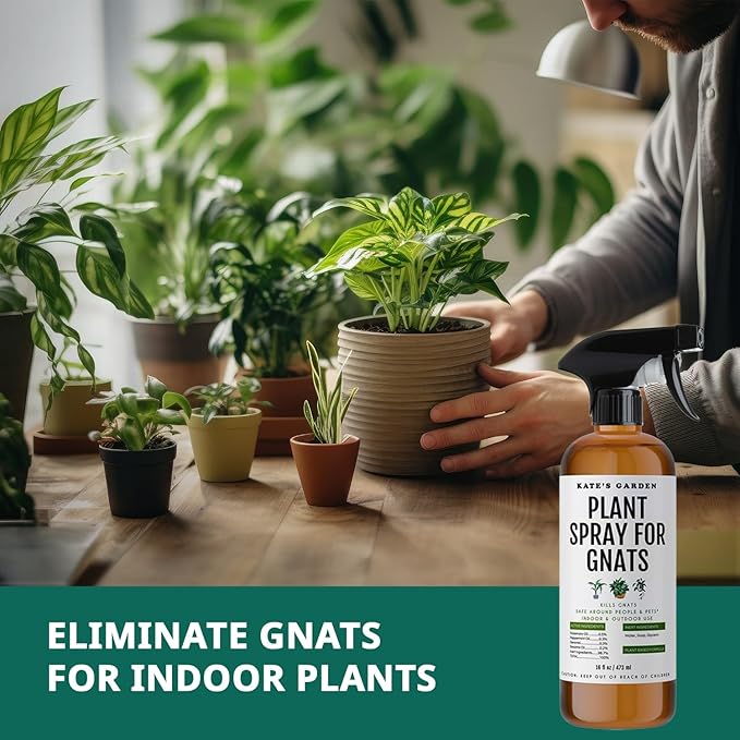 Kate's Garden Plant Spray for Insects & Getting Rid of Gnats. Fungus Gnat Killer & Bug Spray for Indoor Plants (16oz, Pet Safe, Non Toxic)