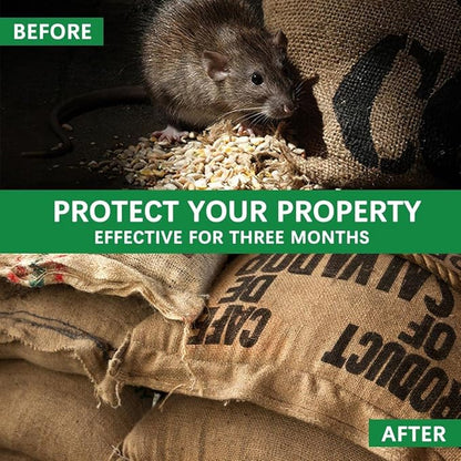 Rodent Repellent Balls Indoor/Outdoor Mice Repellent Indoor, Rat Repellent for Outside, Outdoor Mouse Repellant, Peppermint Balls for Rodents, Rat Repeller for Car Engines 10P