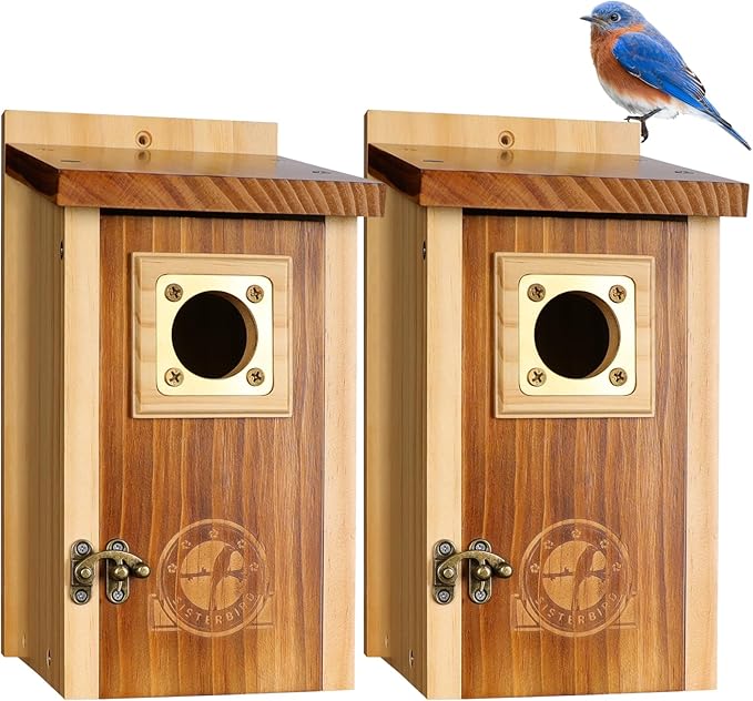 Pack of 2 Bluebird Houses for Outside, Premium Wooden Bird Houses for Outdoor, Weatherproof Blue Bird House, Bluebird Swallow Chickadee Wren, Assembly Required