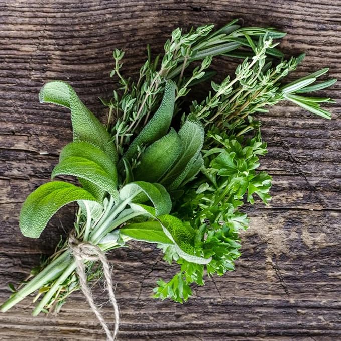 German Thyme Plants - Perfect for Indoor or Outdoor Gardening, High in Antioxidants, Fragrant and Flavorful Herb (2 ger Thyme Bags)