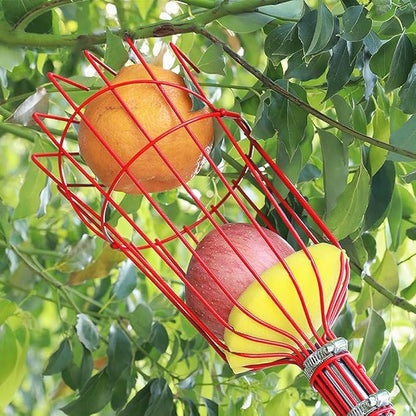 2.4m Fruit Picker Apples Picker Tool for Picking Lemon Pear Orange Avocado Peach