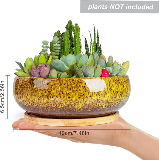 ARTKETTY Succulent Pots - 7.5 Inch Large Plant Pot with Bamboo Tray, Shallow Bonsai Pots with Drainage, Ceramic Planter for Indoor Plants, Cactus, Home Office Desk Decor