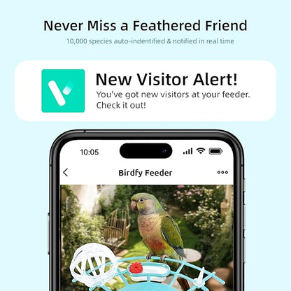 Bird Feeder with Camera, Smart Bird Camera with AI Identify BirdSpecies, Auto Record BirdVideo, Instant Notifications, 2K Video Live Stream Camera with Solar Panel for Birds Lover (Blue)