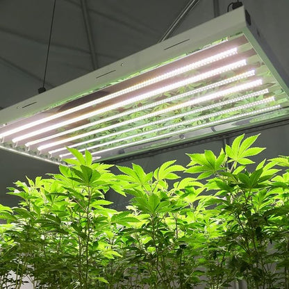 Active Grow 4FT T5 HO LED Grow Light – 8×25W Full Spectrum Panel, Sun White Pro, Daisy-Chainable – Ideal Grow Light for Indoor Plants, Seeds & Starts, T5 Grow Lights Fixture