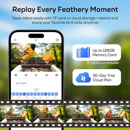 wansview Bird Feeder with Camera-Smart Bird Feeders for Outdoors Solar Powered, Birdhouse with Cam & Instant Alert, 2K Live Video, AI Identify Species, Ideal Gift for Tech Lovers, F1, Brown, 2.4G WiFi