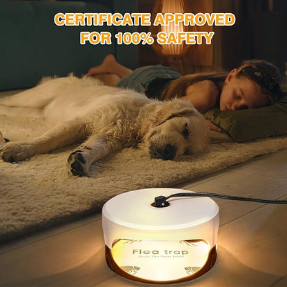 Flea Traps for Inside Your Home 2 Packs, Flea Trap for Indoor, Bed Bug Killer with Sticky Pads & Light Bulb Replacement, Natural Flea Infestation Treatment