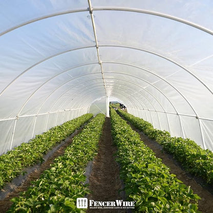 CAPHAUS 6 mil Clear Greenhouse Plastic Sheeting, 4-Year UV Resistant Polyethylene Film, Hoop House Cover for Horticulture, Gardening, Farming and Agriculture, 90% Light Transmittance, 12’ x 28’