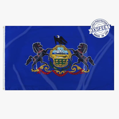 AMZFLAG Pennsylvania State Flag 3x5 ft Outdoor, Double Sided PA Pennsylvania Flag with 2 Brass Grommets Heavy Duty