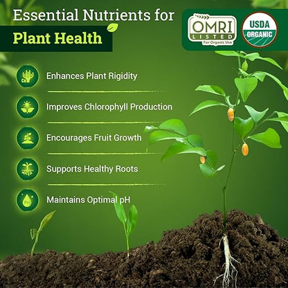FoxFarm BushDoctor Cal-Mag - Liquid Calcium & Magnesium Supplement, Prevents Blossom End Rot & Tip Burn - Formula with 3% Calcium, 0.9% Magnesium for Gardening- NPK 1-0-0 (Quart)