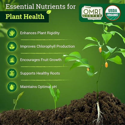FoxFarm BushDoctor Cal-Mag - Liquid Calcium & Magnesium Supplement, Prevents Blossom End Rot & Tip Burn - Formula with 3% Calcium, 0.9% Magnesium for Gardening- NPK 1-0-0 (Gallon)