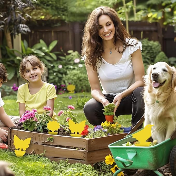 72 Pcs Classic Sticky Traps for Fungus Gnat (Plants), Flying Insect, Whitefly and Fly, Yellow Sticky Insect Catcher Traps for Indoor/Outdoor, Kitchen, and Plants, High-End Glue, Non-Toxic, 4 Shapes