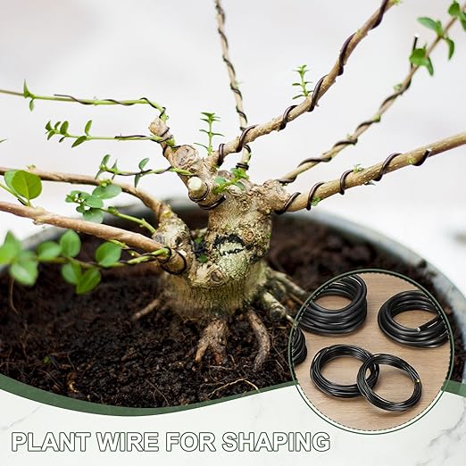 Bonsai Training Wire, 4mm x 16.4 ft Anodized Aluminum Floral Plant Training Wire Bendable Metal Stems Accessories for Gardening Branch Fixing Crafts (Black)