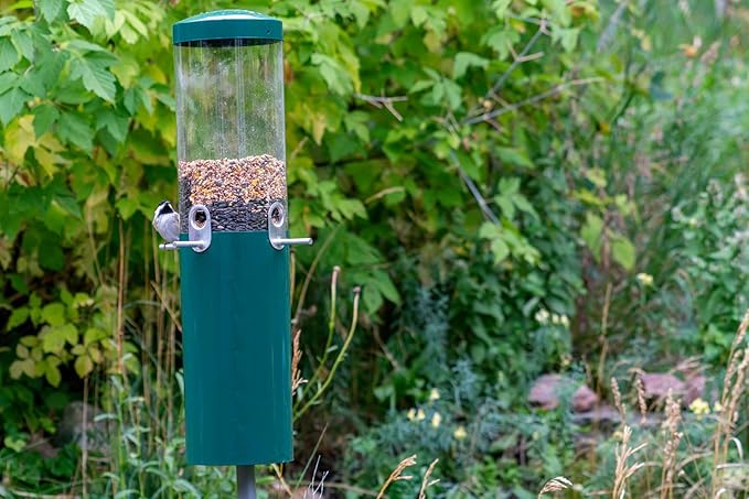 Birds Choice Classic Squirrel Proof Bird Feeder with Pole Mount | Tube Bird Feeder for Cardinals, Chickadees, Woodpeckers | Sturdy Steel for Long-Lasting Use | Backyard Birdseed Dispenser | Green