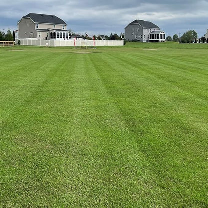 Outsidepride Maya (Blackjack II) Bermuda Grass Seed - 5 lbs Warm Season, Drought Tolerant, Fast Growing, Fine-Textured Bermuda Grass Seeds for Lawn, Parks, Golf Courses & Sports Fields