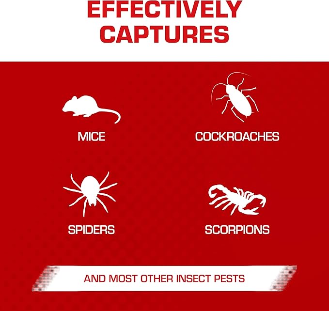 Tomcat Glue Traps Mouse Size with Eugenol for Enhanced Stickiness for Mice, Cockroaches, and Spiders, 6 Traps