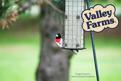 Valley Farms Safflower Seed Wild Bird Food (4 LB) Birdseed for Outside Feeders to Attract Cardinals, Titmice & Grosbeaks