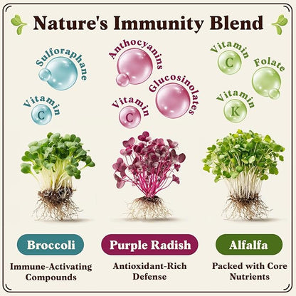 Seedboy Organic Non-GMO Sprouting Seeds, Immune System Booster - USA Grown Microgreens Mix with Broccoli, Purple Radish, Alfalfa - 8 oz Bag Makes 8 Quarts / 24 Servings (Immune System Booster Blend)