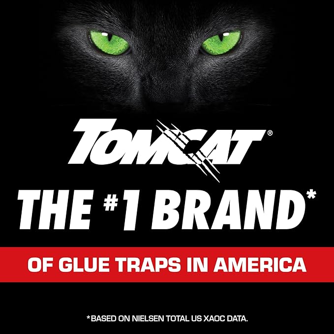 Tomcat Glue Traps Rat Size with Eugenol for Enhanced Stickiness, 2 Traps/Pack (12-Pack)