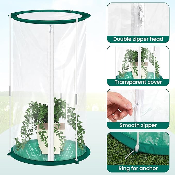Nuanchu 4 Pieces Mini Greenhouse 19.7 x 10.2 Inch Portable Plant Flowers Mini Cover PVC Clear Greenhouse for Indoor Outdoor Gardening