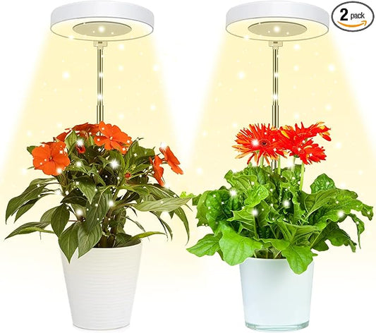 Juhefa Grow Light for Indoor Plants Growing, 4000K Full Spectrum Halo Plant Lamp for Seedlings Succulents Small Mini Plants, 3 Colors Spectrum Changeable & Auto On Off Timer 4/8/12/18Hrs (2 Pack)
