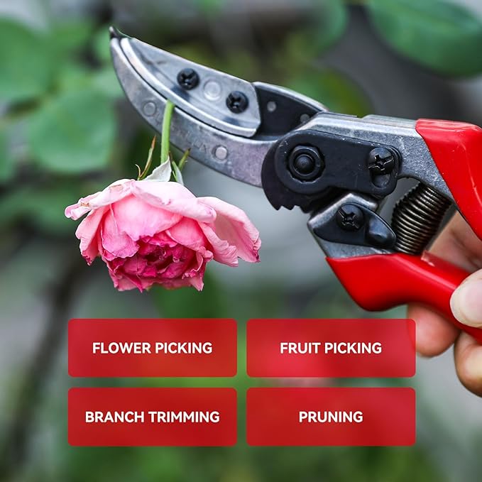 Rose Floral Scissors,Pruning Shears, SK5 Steel Blade with Anti-Rust Coating, Flower Handheld Clipper Pruner and Holder. Solid Aluminum Handle, Ergonomic Grip. Ideal for Gardens, Florists