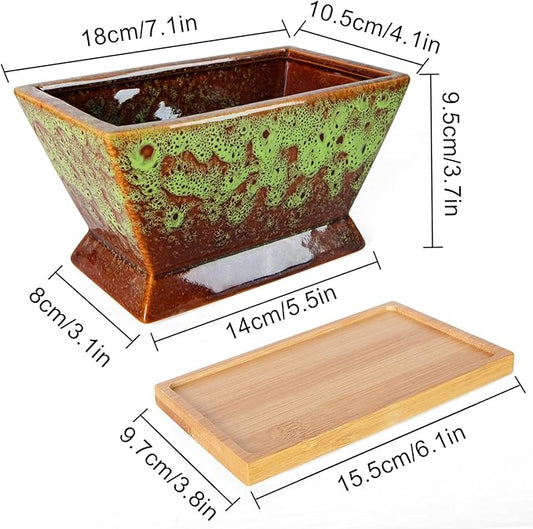 ARTKETTY Succulent Pots - 7 Inch Large Plant Pot with Drainage Tray, Shallow Ceramic Pots for Indoor Plants, Modern Cactus Bonsai Plant Container Decorative Home Office