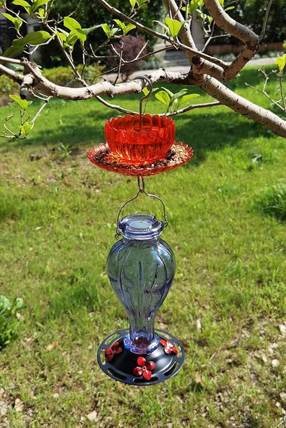 Ant Moat for Hummingbird Feeder - Freestyle 9 OZ Extra Large Capacity Insect Guard - Red Daisy Bowl & Dish