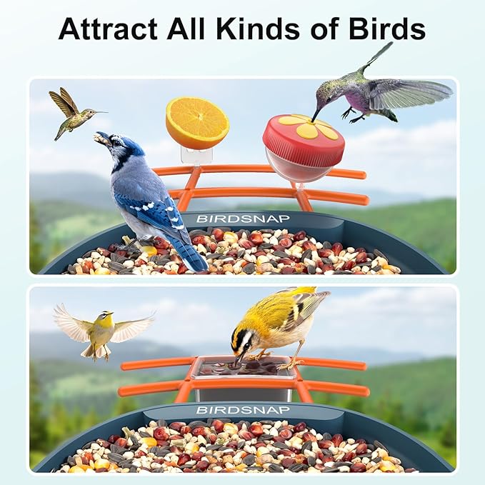 birdsnap® PAV- Bird Feeder with Camera Solar Panel, 2K HD & 64GB Card, AI Identify Bird Species Smart Bird House with Camera, Record Video Live View, Auto Capture, Ideal Gift for Birds Lover