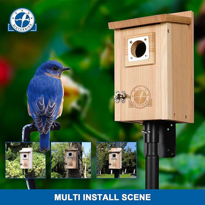 Bird Houses for Outside 1-1/2” Entrance Hole Cedar Birdhouses with Metal Guard Outdoor Bluebird Wren Swallow Finch Asssembly Required