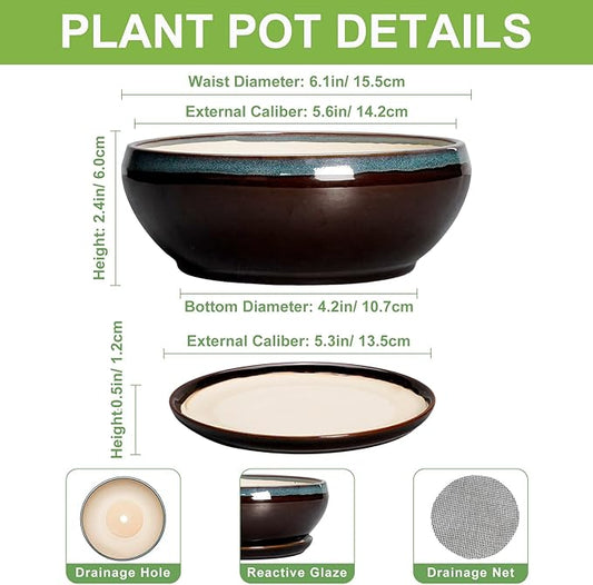 SQOWL Succulent Pots with Drainage Hole - 6 Inch Ceramic Bonsai Tree Pots, Shallow Planter with Saucer, Round Plant Pot for Succulent Indoor Outdoor, Porch Decor, Gifts for Plant Lover, Blue-Brown