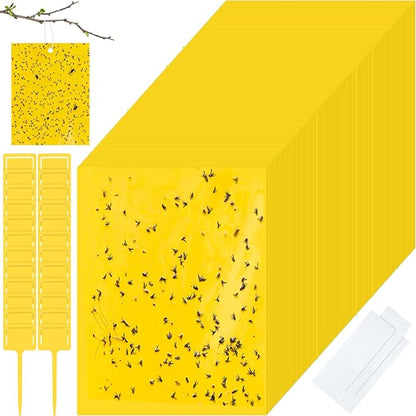 Qualirey 200 Pcs 6 x 8 Inch Sticky Traps for Gnats Dual Sided Fruit Fly Sticky Traps for Indoor and Outdoor Plant with Twist Ties and Plastic Holders for Flying Plant Insect, Fungus Gnats (Yellow)