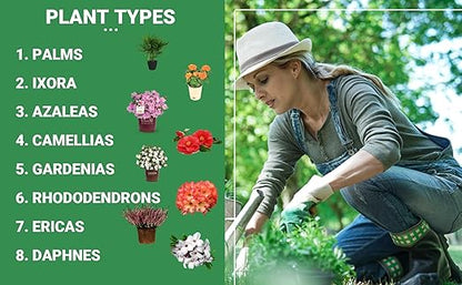 8-4-8 Professional Palm Tree Fertilizer Plant Food; for Indoor Potted Plants and Outdoor Landscape Palm Trees; Quick-Release Nitrogen Fertilizer and Continuous Feeding (2 QUARTS)