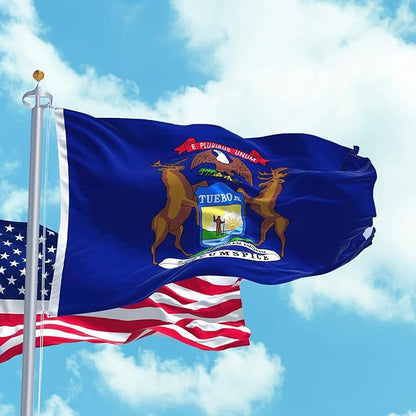 FLAGWIN Michigan Flag 3x5 FT - 3 Ply Double Sided Polyester Michigan State Flag with Brass Grommets - Vivid Color and Fade Proof State of Michigan Flags 3x5 Outdoor