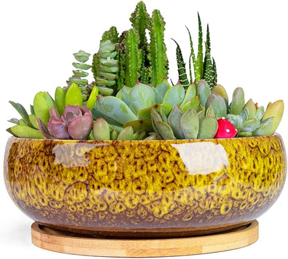 ARTKETTY Succulent Pots - 7.5 Inch Large Plant Pot with Bamboo Tray, Shallow Bonsai Pots with Drainage, Ceramic Planter for Indoor Plants, Cactus, Home Office Desk Decor