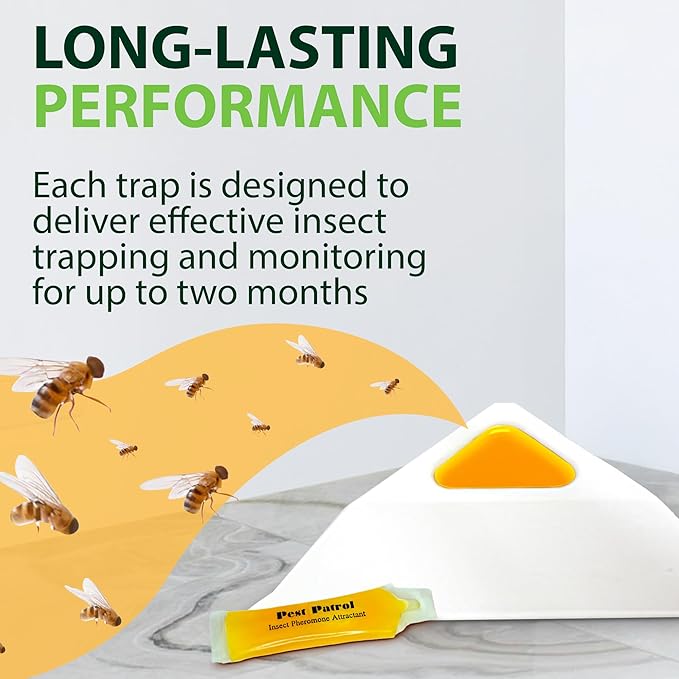 Greenway Pantry Patrol Traps, Non-Toxic Pantry Moth and Insect Control, Gel-Based for Flour Beetles, Grain Storage, and Kitchen Use, 2 Packs (Includes 4 Traps and 4 Lures)