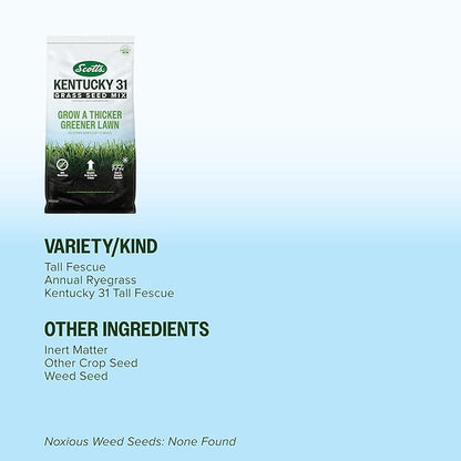 Scotts Kentucky 31 Grass Seed Mix for New Lawns or Overseeding, Grows Thicker and Greener vs. Other Kentucky 31 Mixes, Covers up to 5,000 sq. ft.