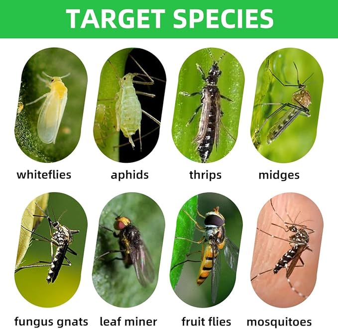 72 Pcs Classic Sticky Traps for Fungus Gnat (Plants), Flying Insect, Whitefly and Fly, Yellow Sticky Insect Catcher Traps for Indoor/Outdoor, Kitchen, and Plants, High-End Glue, Non-Toxic, 4 Shapes