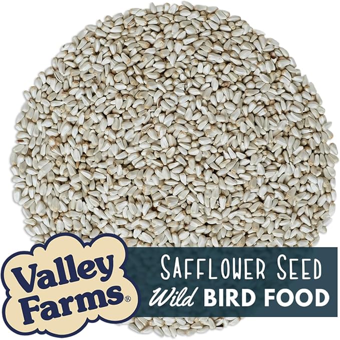 Valley Farms Safflower Seed Wild Bird Food (4 LB) Birdseed for Outside Feeders to Attract Cardinals, Titmice & Grosbeaks