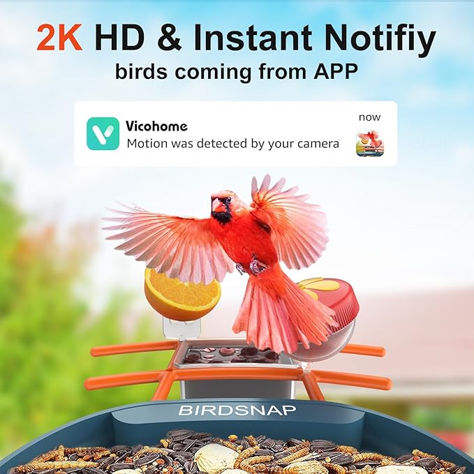 birdsnap® PAV- Bird Feeder with Camera Solar Panel, 2K HD & 64GB Card, AI Identify Bird Species Smart Bird House with Camera, Record Video Live View, Auto Capture, Ideal Gift for Birds Lover