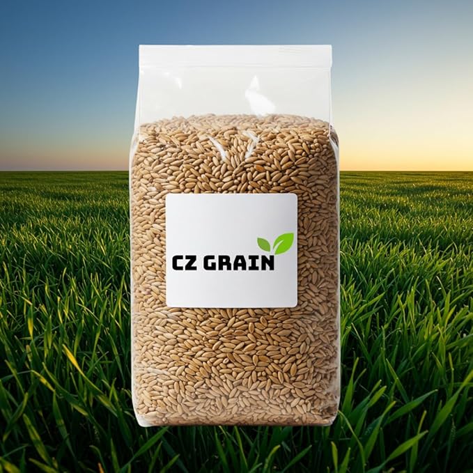 Winter Rye Seeds – Non-GMO Rye Grain Cover Crop – 25 Pound Bag for Soil Health & Weed Control