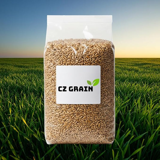 Perennial Ryegrass Seeds for Planting - Premium Quality Rye Grass Seed (50 Pounds)