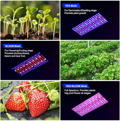 2024 Upgraded BW1000 LED Grow Lights Double Chips Full Spectrum for Greenhouse and Indoor Plant Veg and Flower Growing [White]
